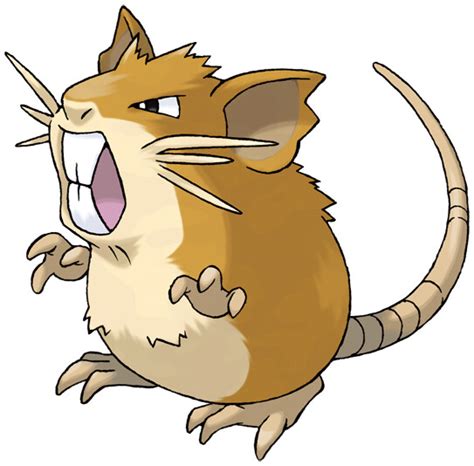 Raticate Location, Learnset, and Evolution .
